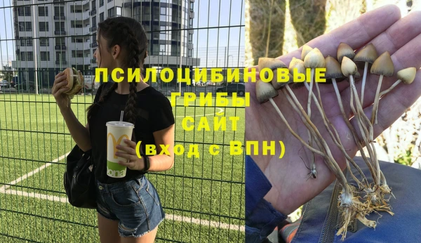 скорость Алексин