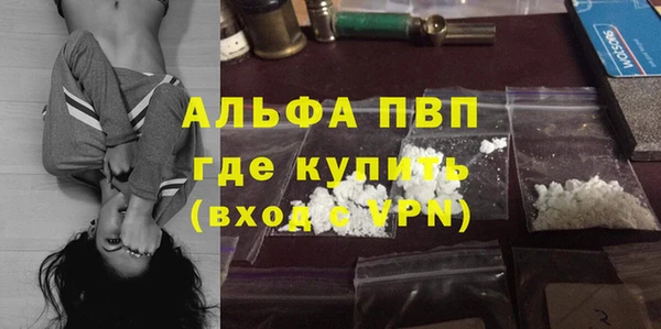 прущие крисы Алзамай